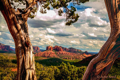 "Cloud Gathering" picture of Sedona, AZ Cathedral Rock Photograph by Susie Reed