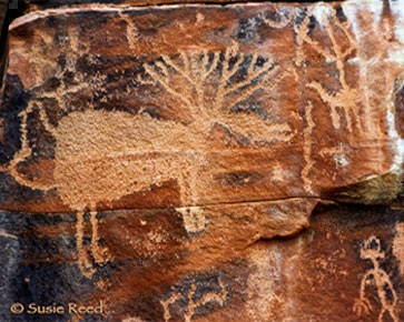 Sedona Rock Art Photograph by © Susie Reed