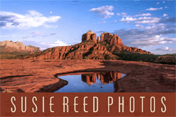 Susie Reed Photos Sedona, Arizona Logo